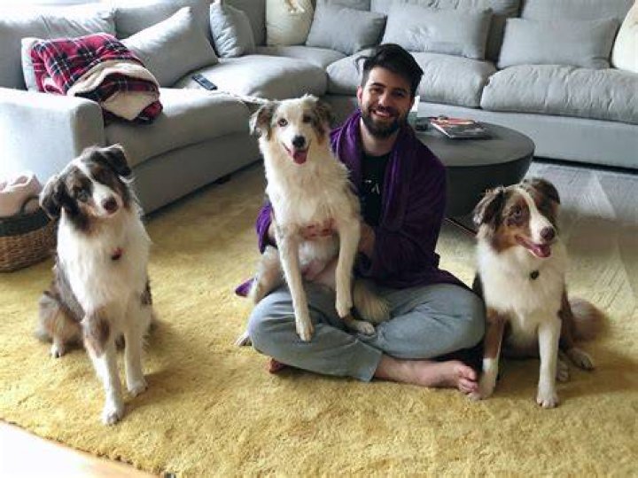 Ali Hassan (SypherPK) Pets