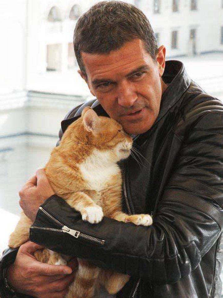 Antonio Banderas Pets