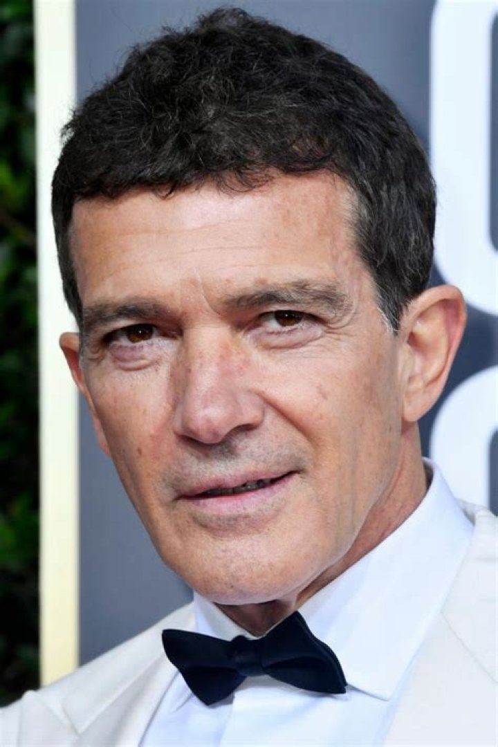 Antonio Banderas' pet Cats