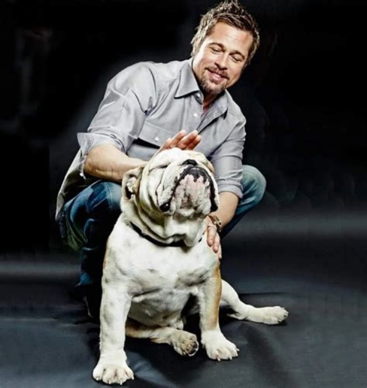 Brad Pitt Pets