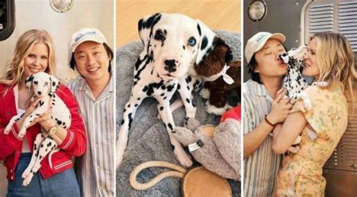 Brianne Kimmel Pets