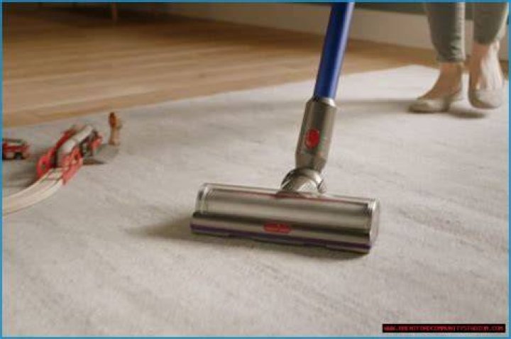 Can Dyson vacuum wet carpet?