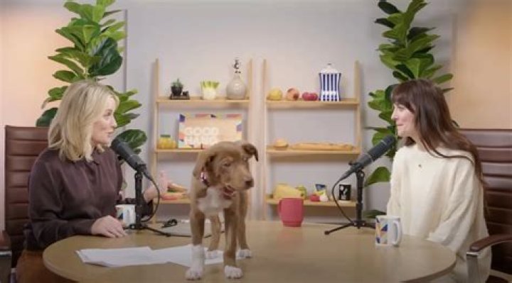 Dakota Johnson Pets