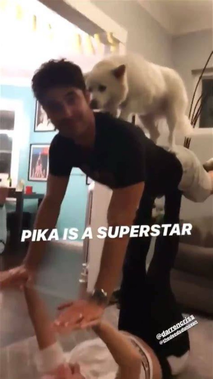 Darren Criss Pets