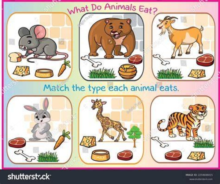Do animals eat bone meal?