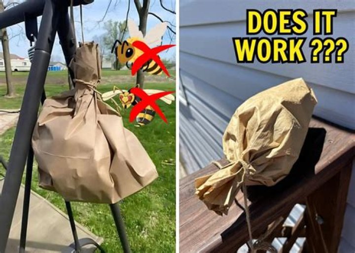 Does a brown paper bag keep bees away?