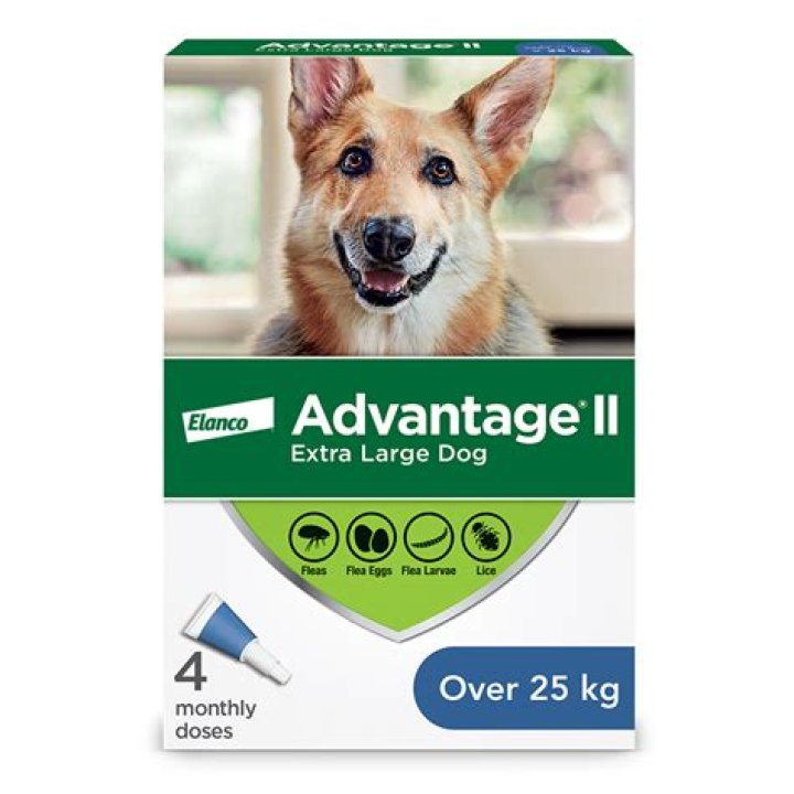 Does Advantage flea treatment expire?