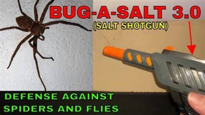 Does bug a salt work on spiders?