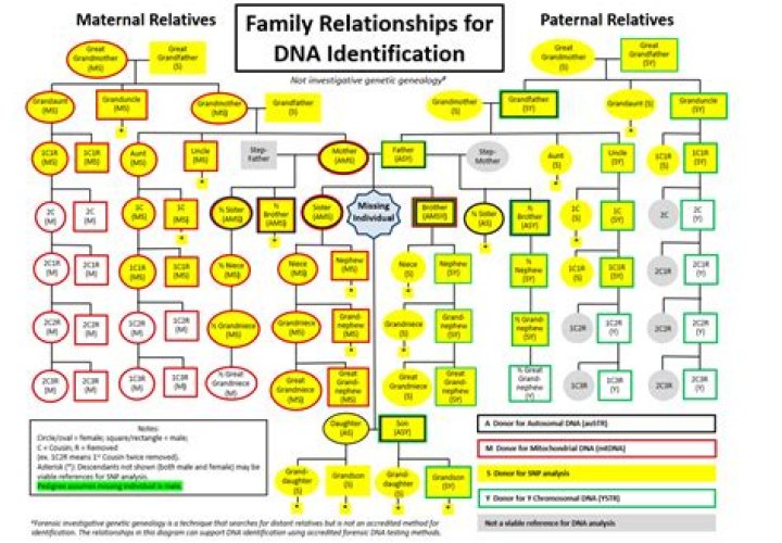 E:U - Age, Family, Bio