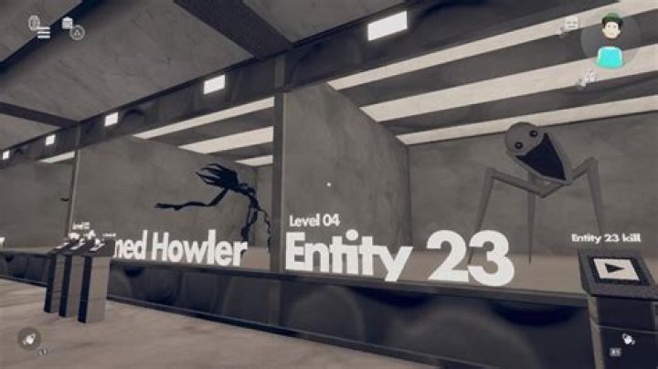 Entity 23