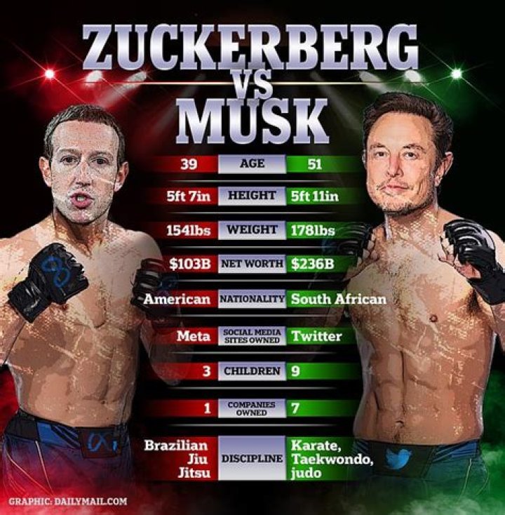 Fight between Elon Musk and Putin