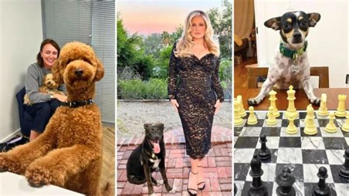 Gabbriette Pets - Celebrity Pets