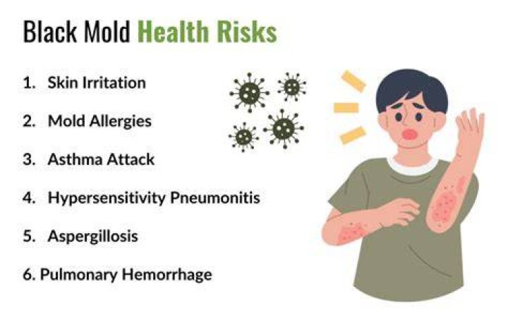 How can black mold affect infants?