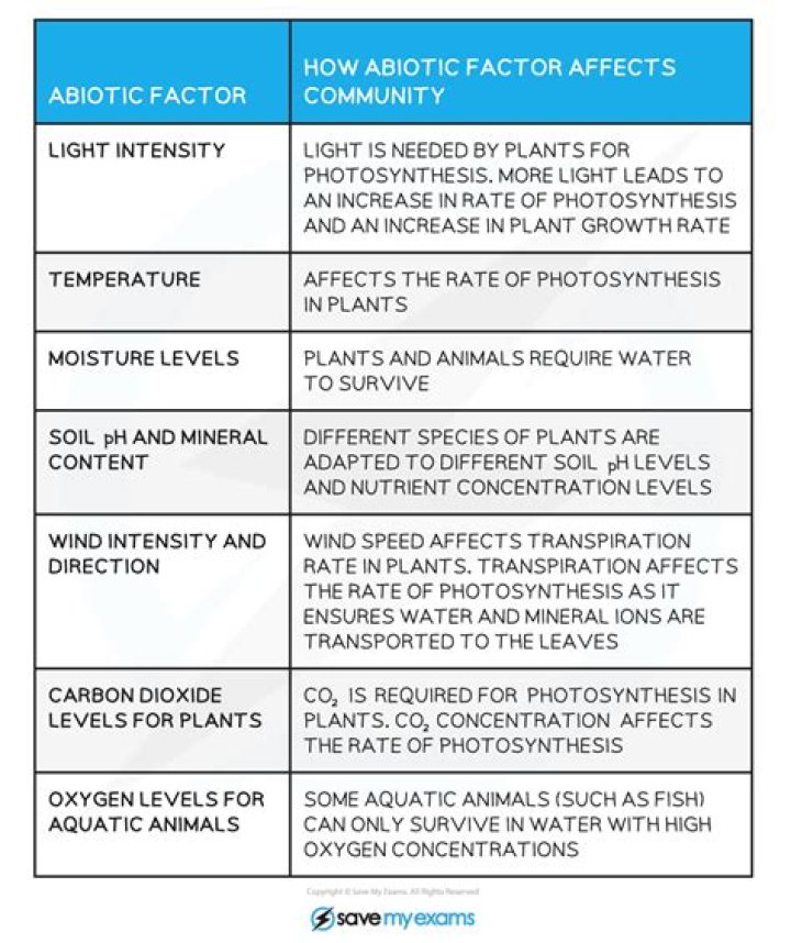 How do biotic and abiotic factors affect population?