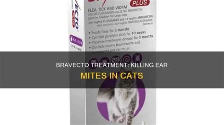 How long does it take Bravecto to kill mites?