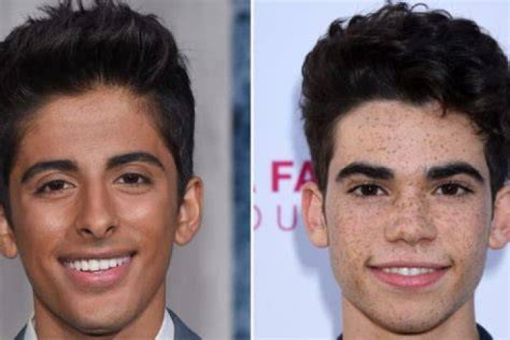 Is Karan Brar gay or bisexual?