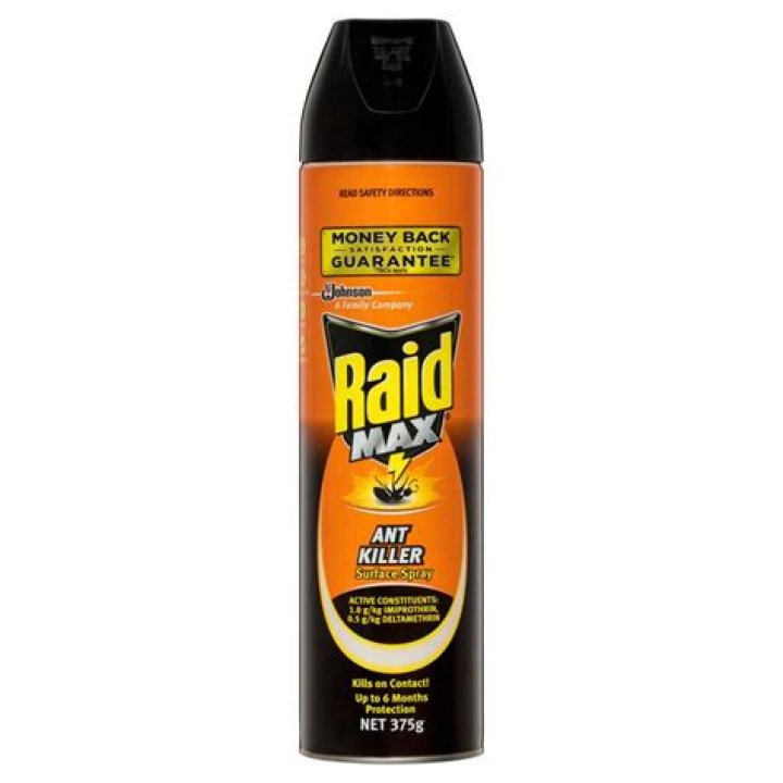 Is Raid Max safe for dogs?