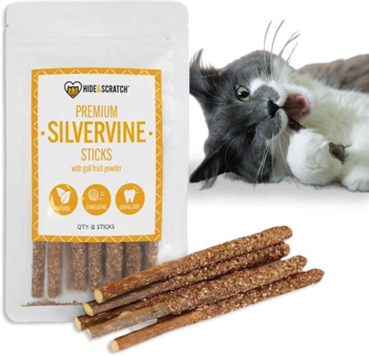 Is Silvervine safe for humans?