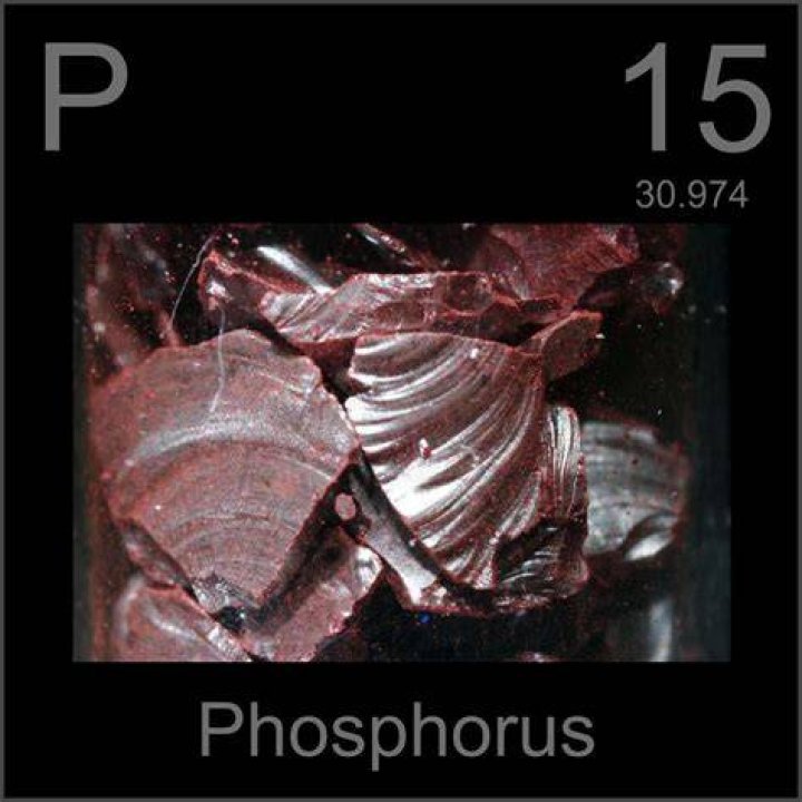 Is the element phosphorus shiny or dull?