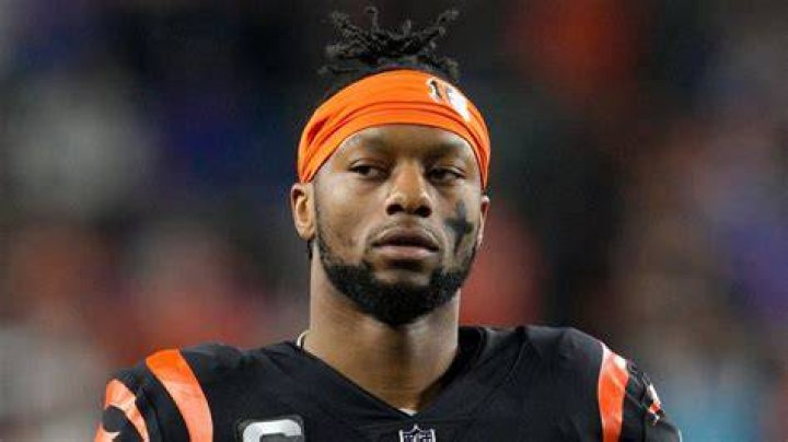 Joe Mixon's pet No Pets (Joe Mixon)