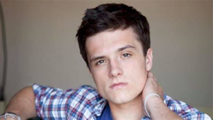 Josh Hutcherson Bisexual