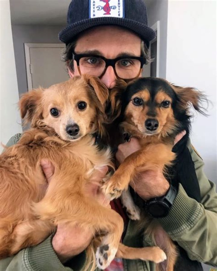 Link Neal Pets