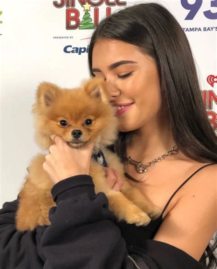 Madison Beer Pets