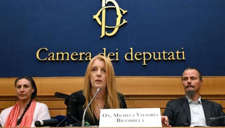 Michela Vittoria Brambilla