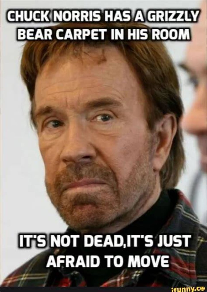 No, Chuck Norris Is Not Dead