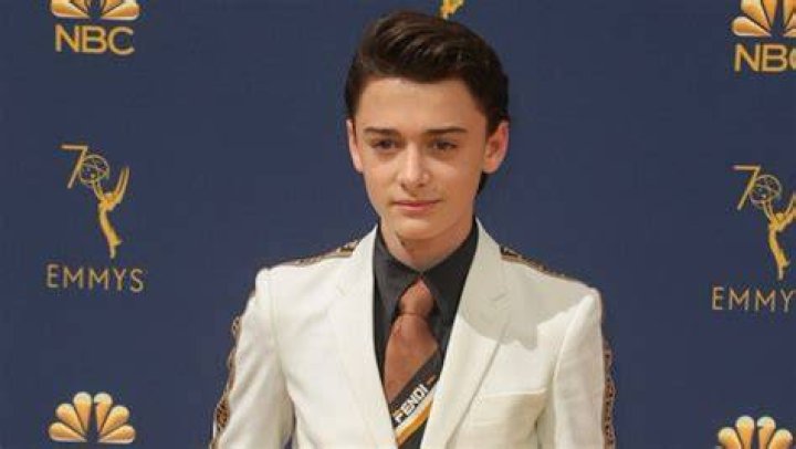 Noah Schnapp Highlights | Famous Birthdays