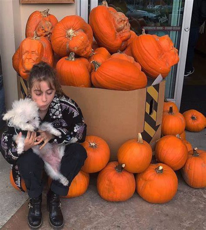 Odessa A’zion Pets