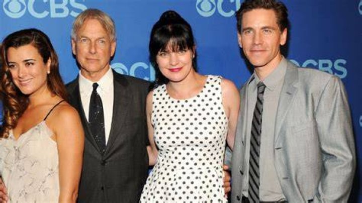 Pauley Perrette posts cryptic tweets about ‘multiple physical assaults’ on ‘NCIS’
