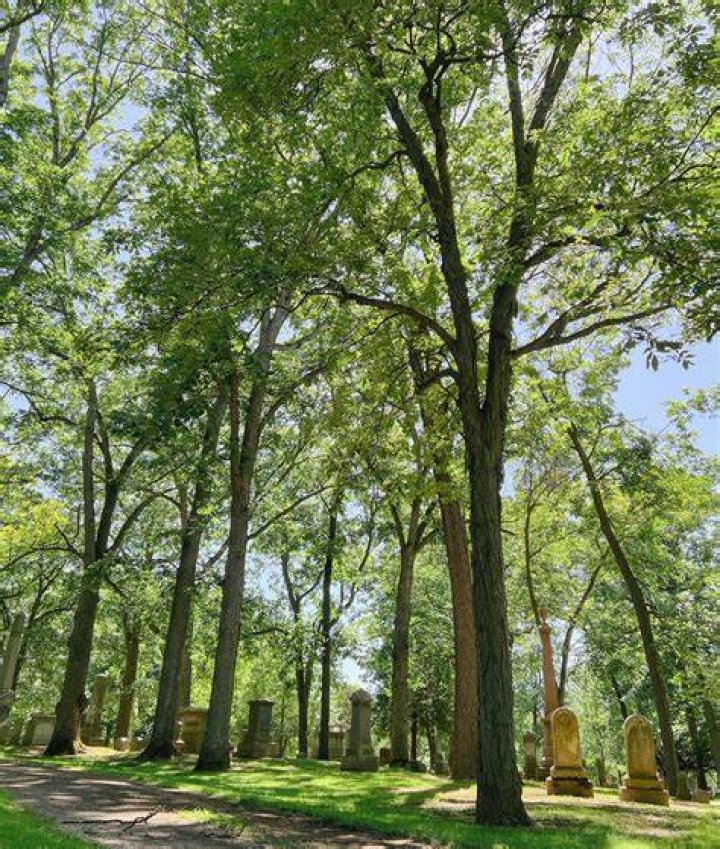Route to Forest Hill Cemetery After Elvis's Death
