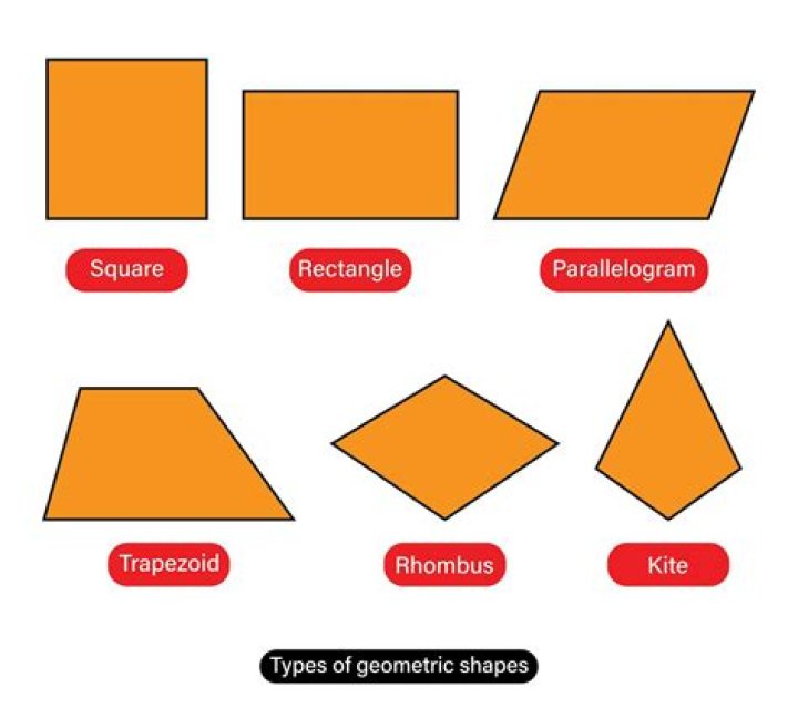 shape shape