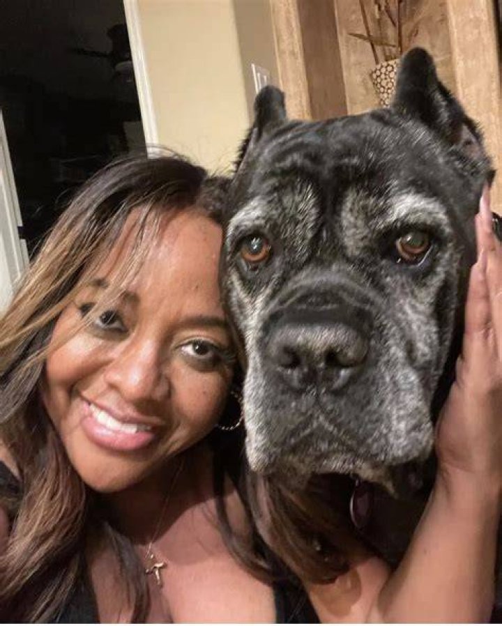 Sherri Shepherd Pets