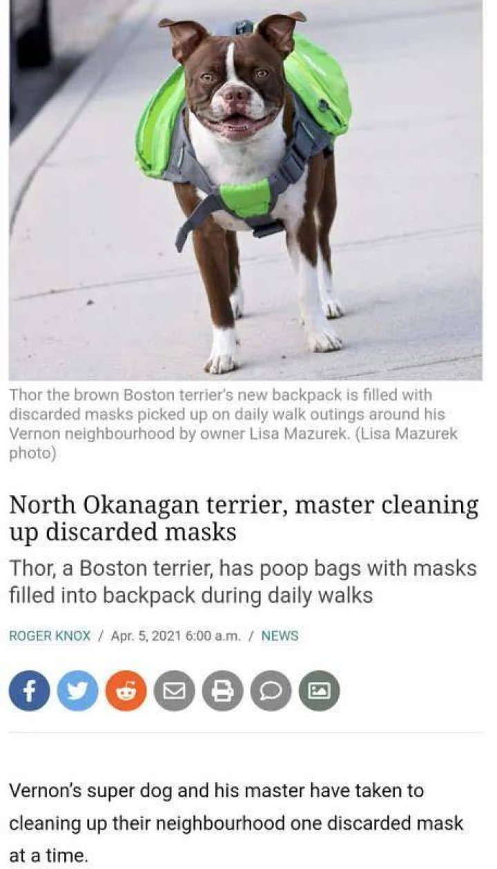 Thor Brown Boston picking up masks COVID