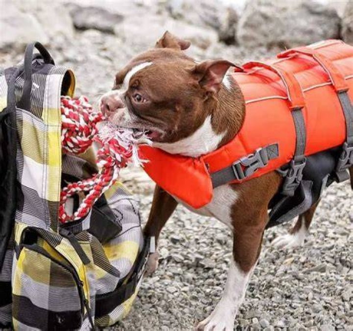 Thor Brown Boston wearing life jacket