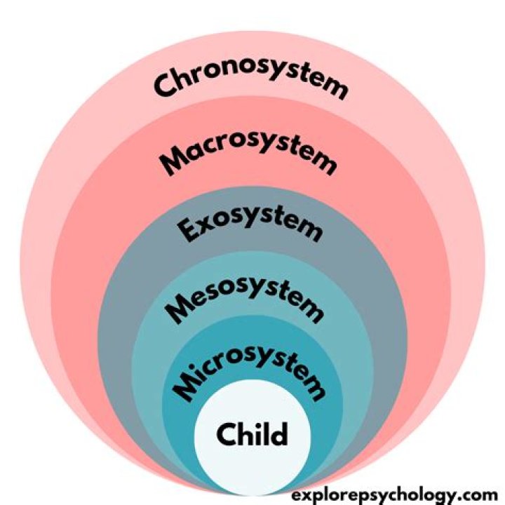 What are the five ecological systems?