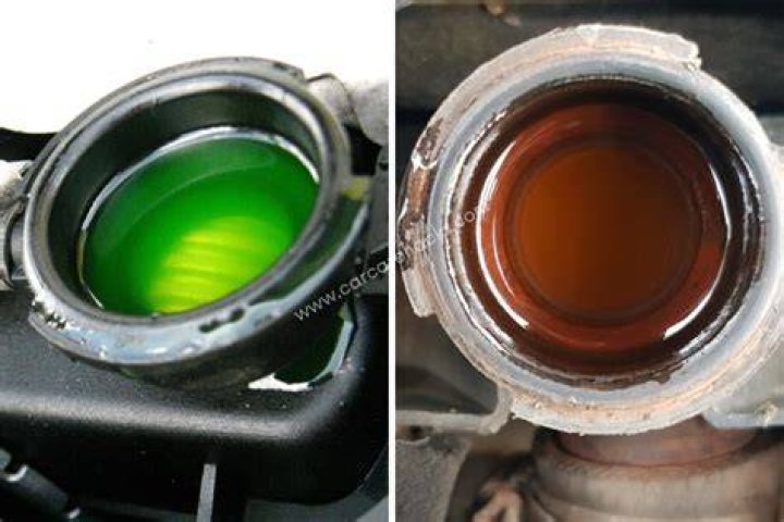 What color coolant does Lexus use?