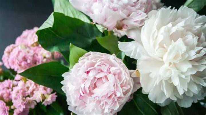 What do mass flowers draw attention to?