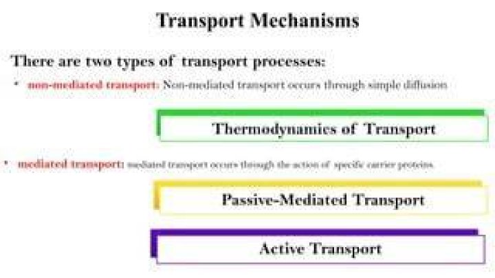 What do you mean by mediated transport?