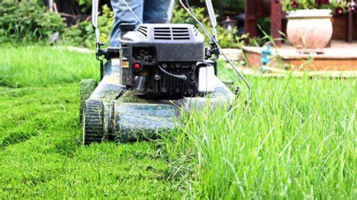 What does it mean to cut the grass?