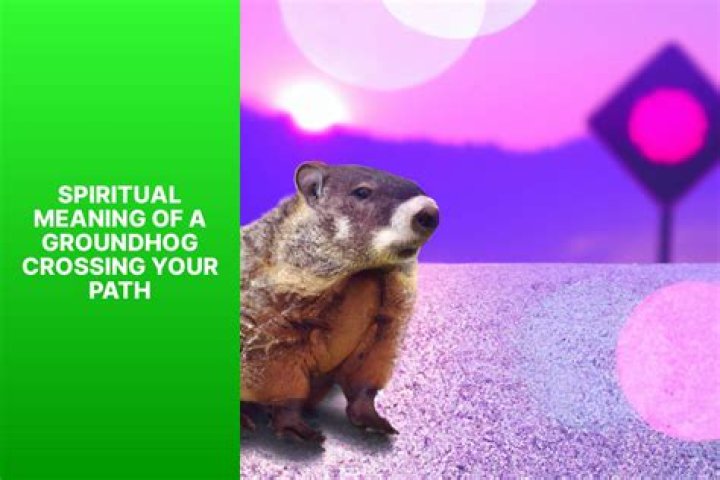 What does it mean when a groundhog crosses your path?
