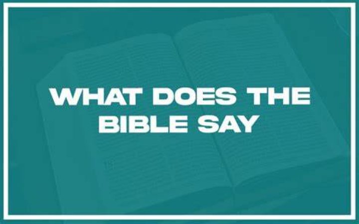 What does the Bible say about lawyers?