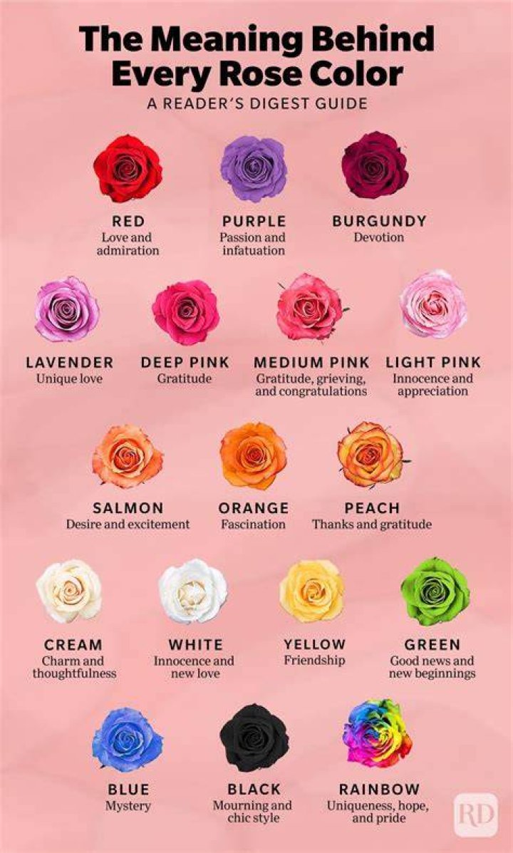 What does the Brown rose mean?