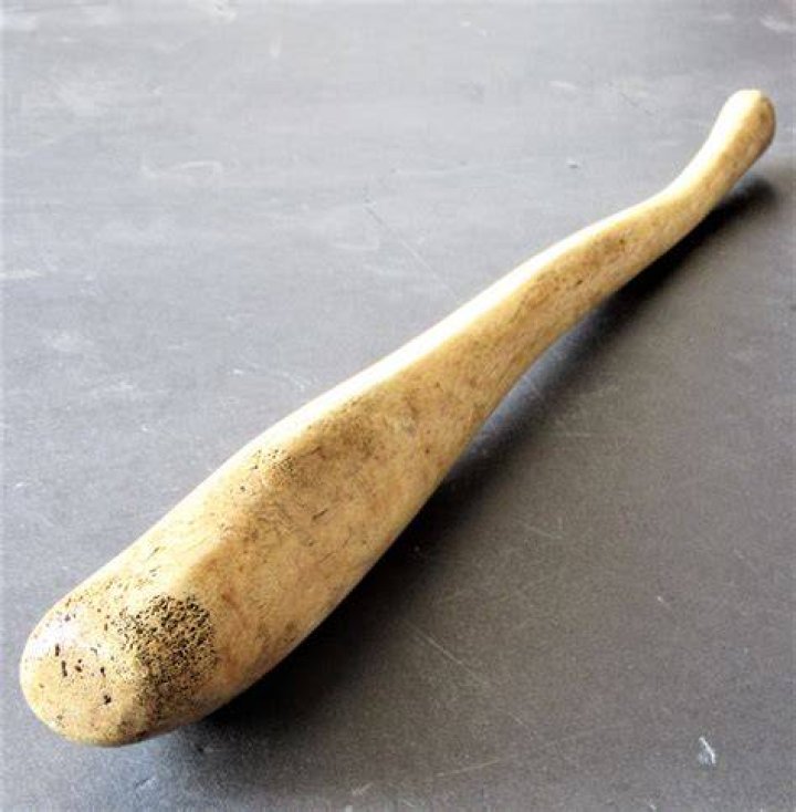 What is a walrus Oosik?