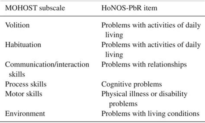 What is the Mohost assessment?