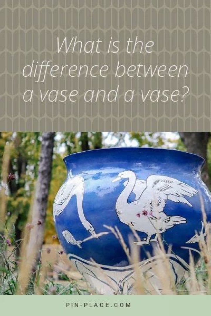 What’s the difference between a vase and vase?