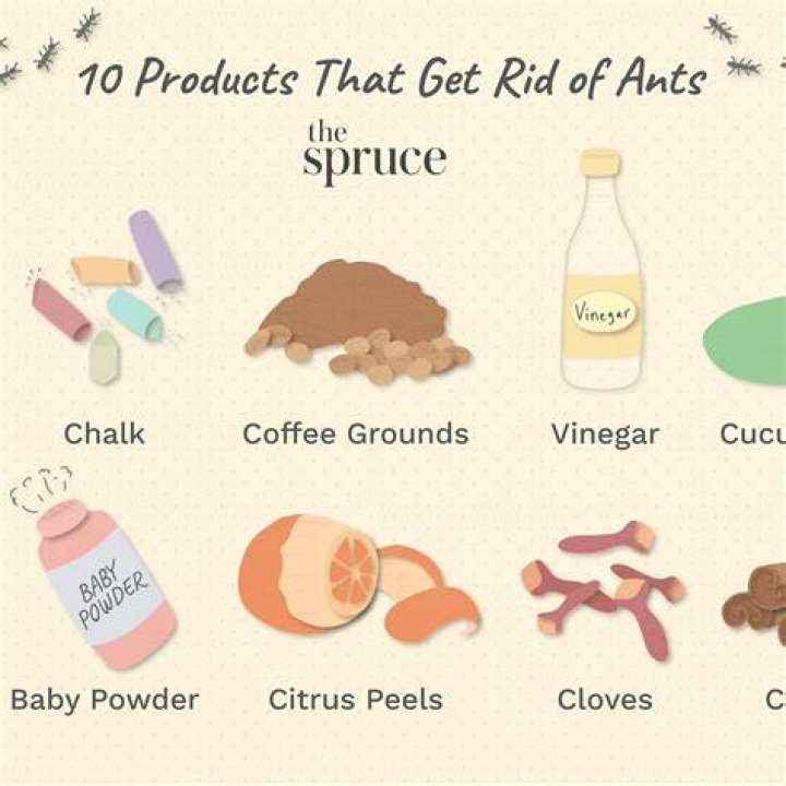 What spice keeps ants away?