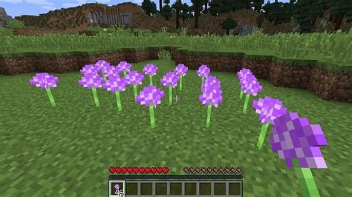 Where do you find Allium in Minecraft?